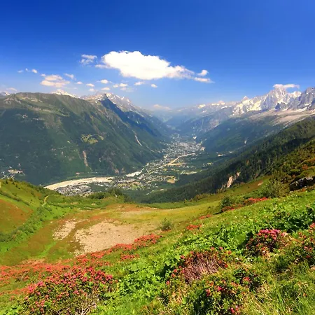 Apartment Garden View Montana - Happy Chamonix